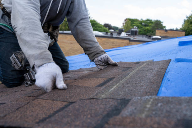 Roof Gutter Cleaning in Carrollton, IL
