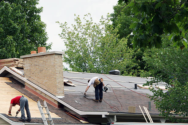 Best Metal Roofing Contractor  in Carrollton, IL