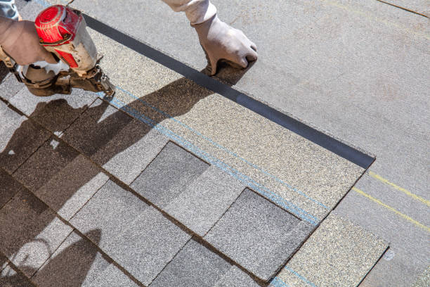 Best Roof Repair Services  in Carrollton, IL